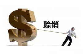 贵港要账公司更多成功案例详情